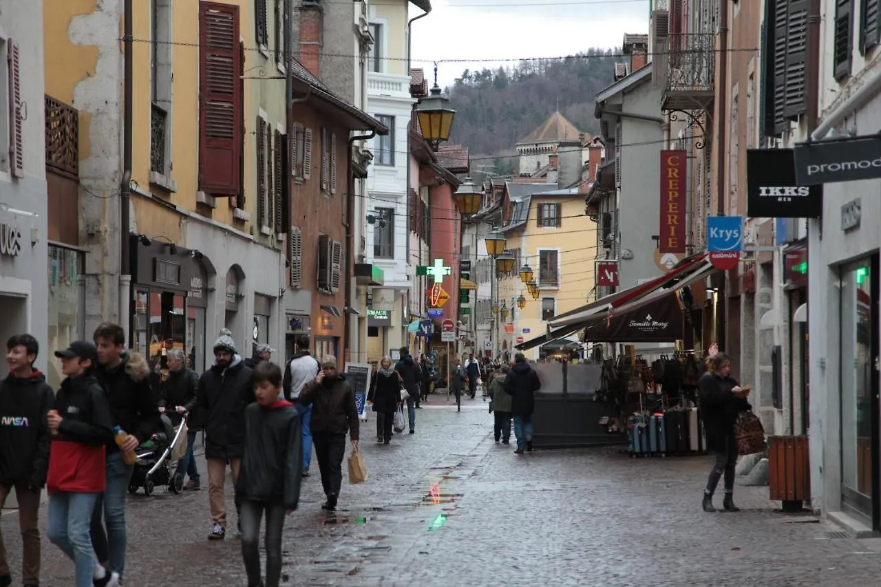Homebuddy' - Le Cocon De Carnot Annecy Apartment