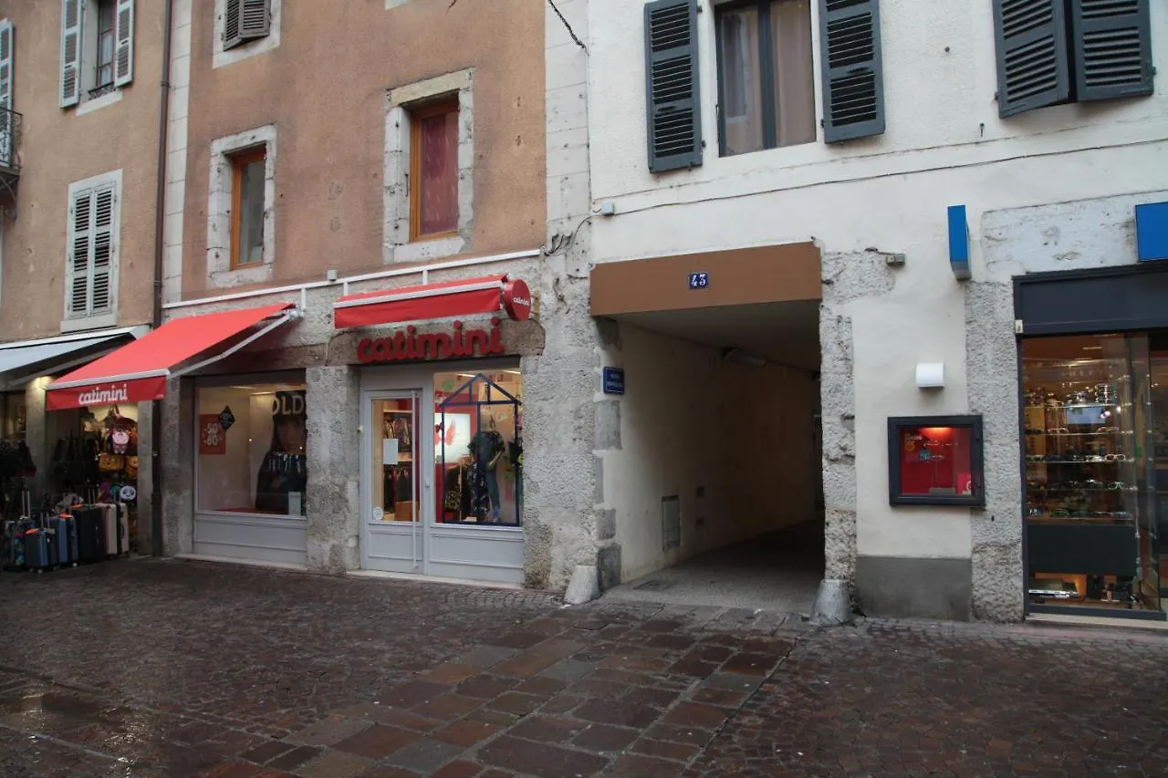 Homebuddy' - Le Cocon De Carnot Annecy 0*,